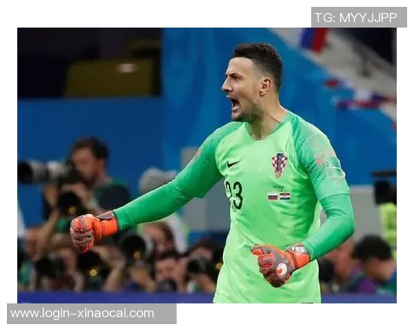 俄罗斯与克罗地亚对决分析及必发赔率走势解读 俄罗斯与克罗地亚对决分析及必发赔率走势解读