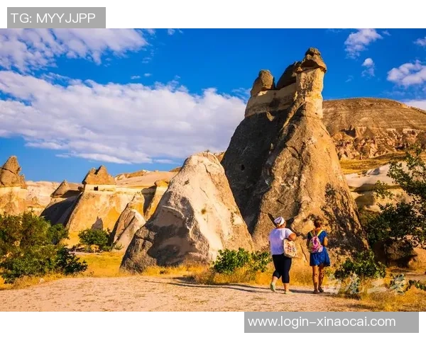 土耳其与冰岛的较量是否会以平局收场分析与预测
