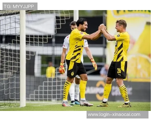 多特蒙德与奥地利维也纳精彩对决全场录像回放及精彩瞬间分析